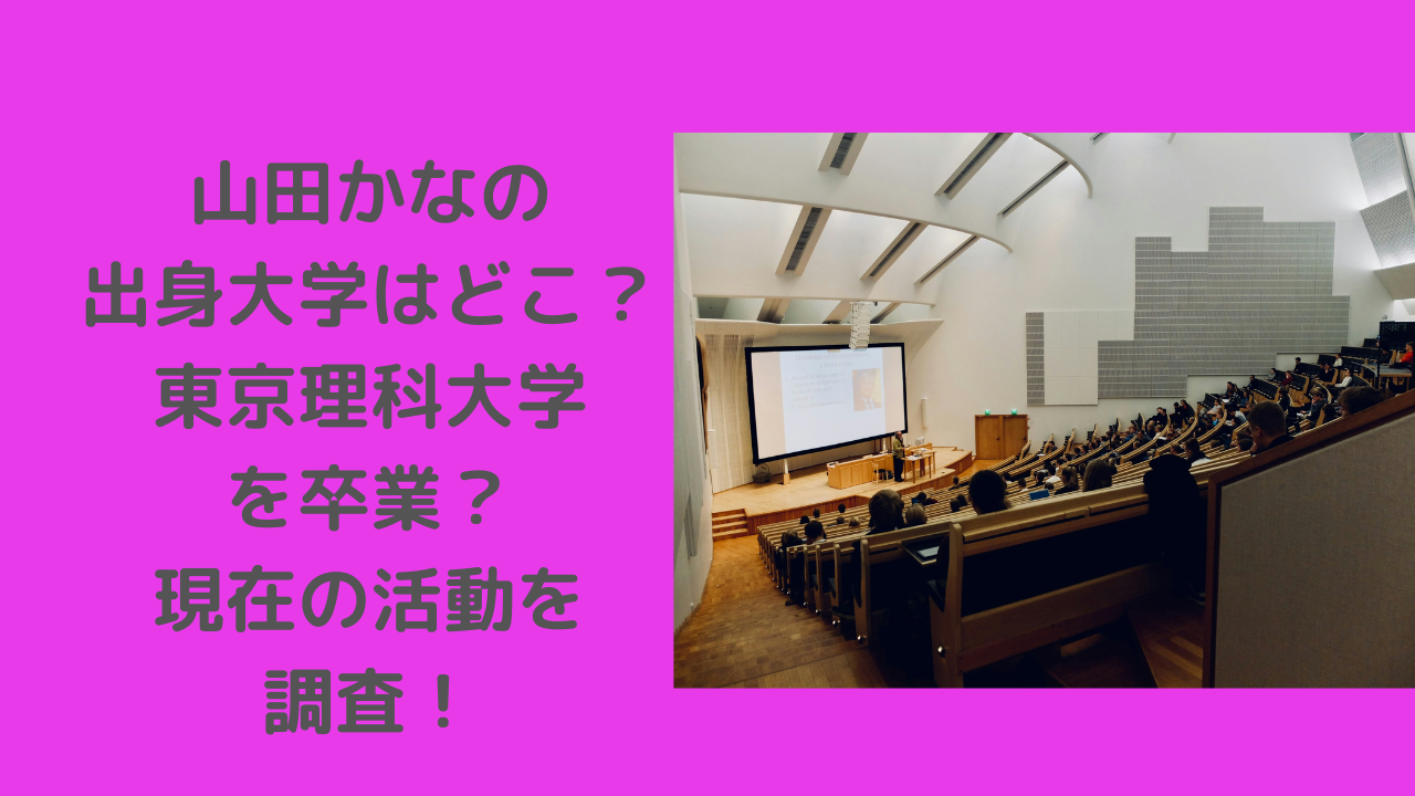 山田かな　大学　どこ
